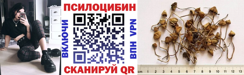 Псилоцибиновые грибы Psilocybine cubensis  как найти наркотики  Ардатов 